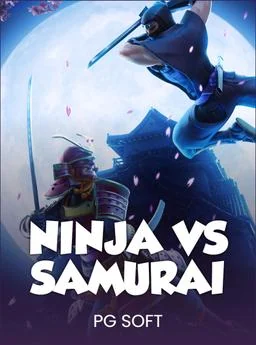 Ninja vs Samurai