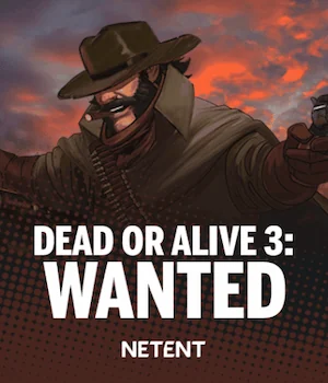 Dead or Alive 3: Wanted